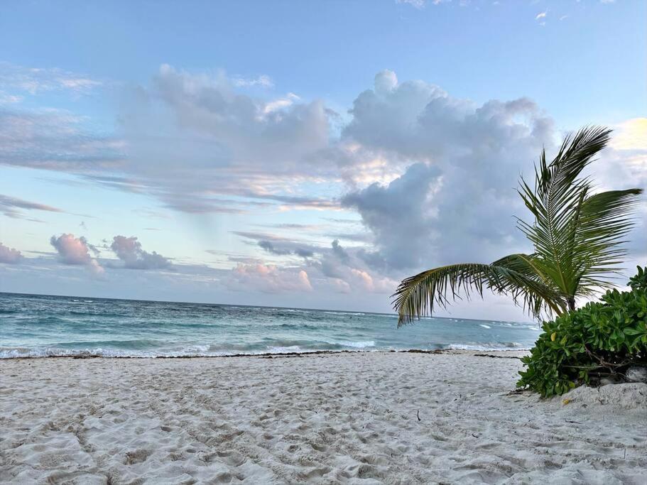 3 Bedroom Luxury Condo Next To Beach & Pools, Ac And Internet Akumal Buitenkant foto